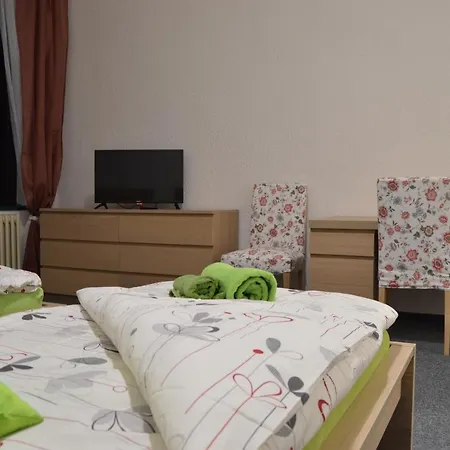 Hotel*** Cesky Dum 3*