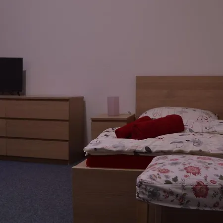 Hotel*** Cesky Dum 3*