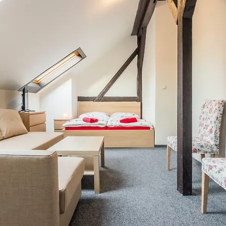 Hotel*** Cesky Dum 3* 호무토프