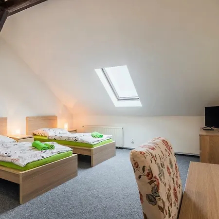 Hotel Hotel*** Cesky Dum Chomutov