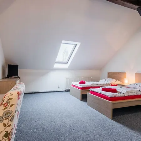 Hotel*** Cesky Dum Hotel Chomutov