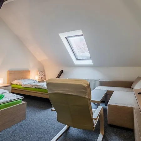 Hotel*** Cesky Dum 호텔 3*