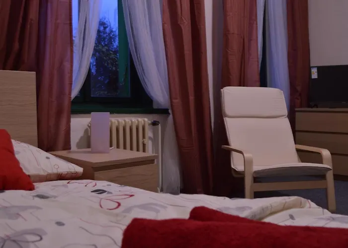 Hotel*** Cesky Dum Hotell 3*