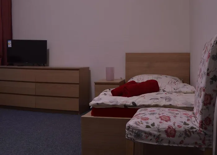 Hotel*** Cesky Dum 3*