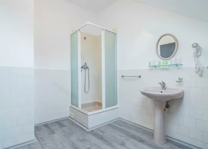 Hotel*** Cesky Dum 3*