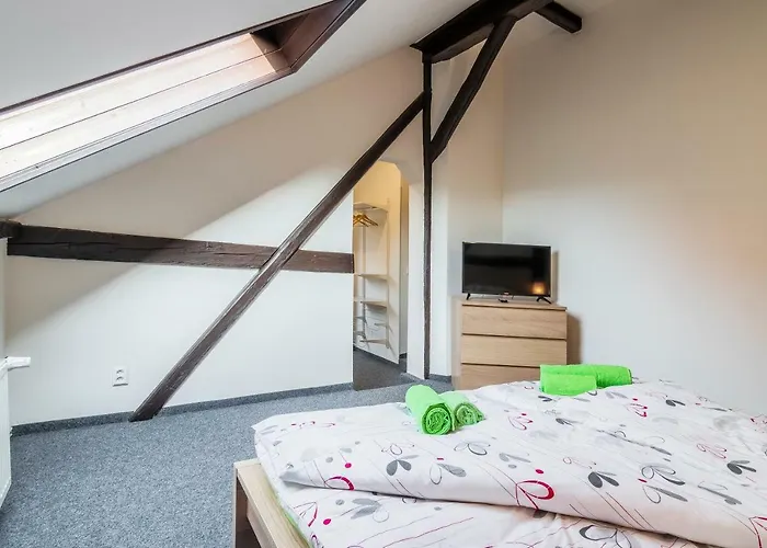 Hotel*** Cesky Dum Hotell Chomutov