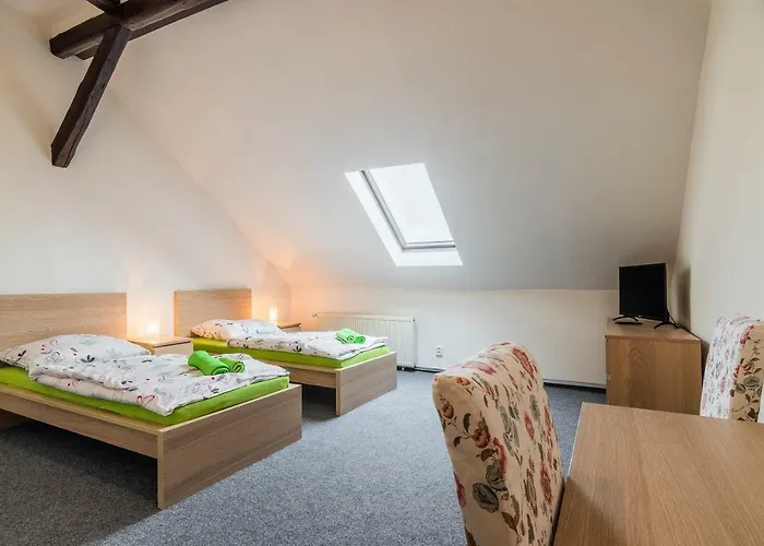 Hotell Hotel*** Cesky Dum Chomutov