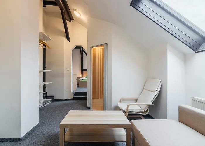 Hotel*** Cesky Dum 3*