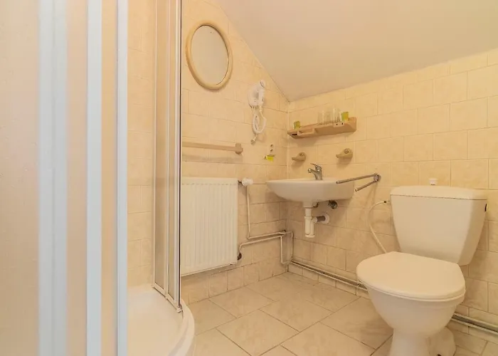 Hotel*** Cesky Dum 3* Chomutov